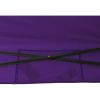10' x 10' Purple Instant Outdoor Canopy with Heavy Duty Construction - Purple